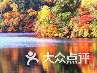 过年少不了的小丸子！软糯Q弹有嚼劲儿，全家人尝过都猛夸